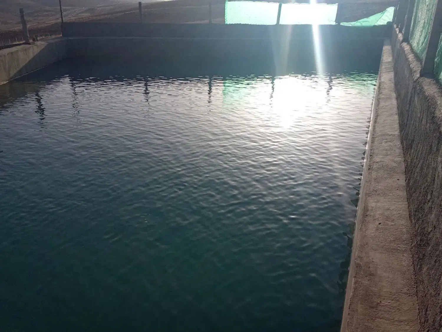 فروش یک قطعه باغ