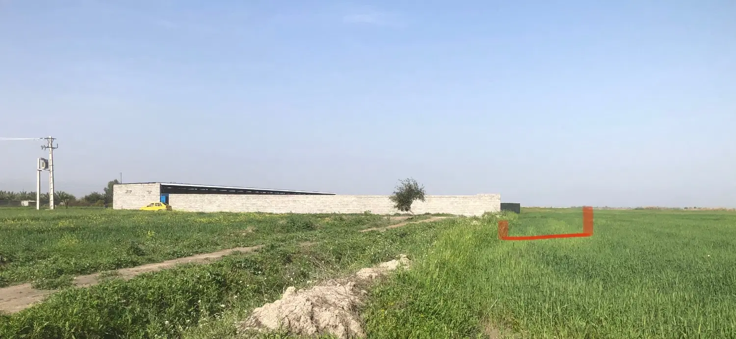 زمین مناسب نخلستان و باغ ویلا