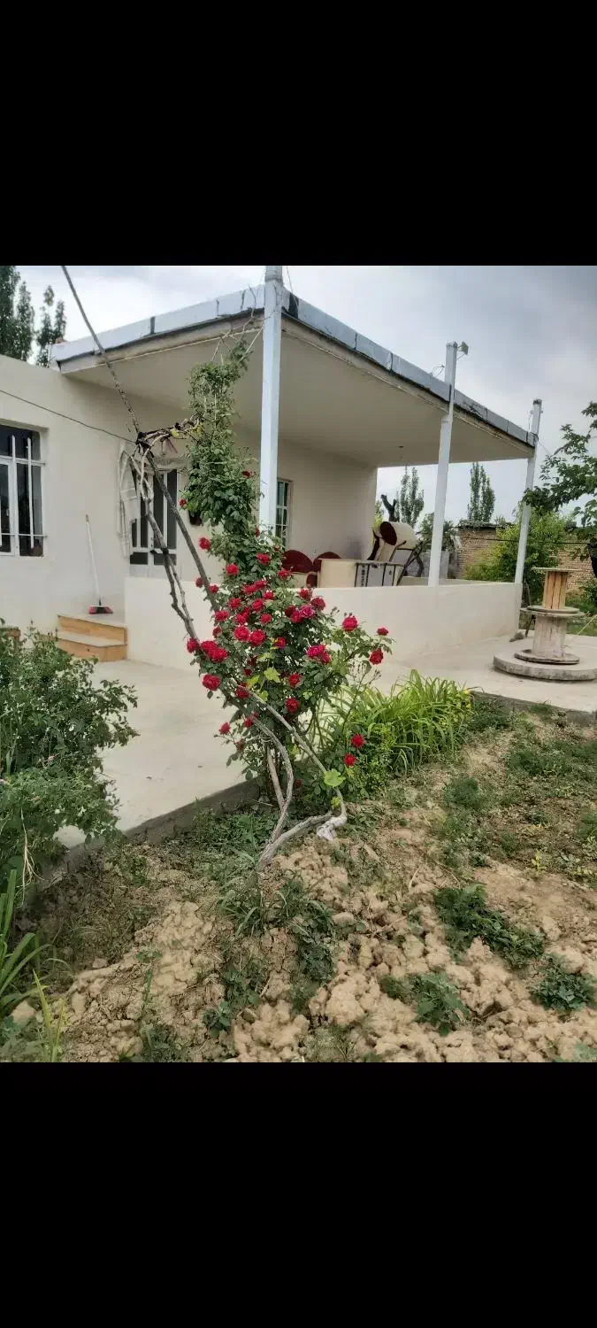 اجاره زمین زراعی کشاورزی