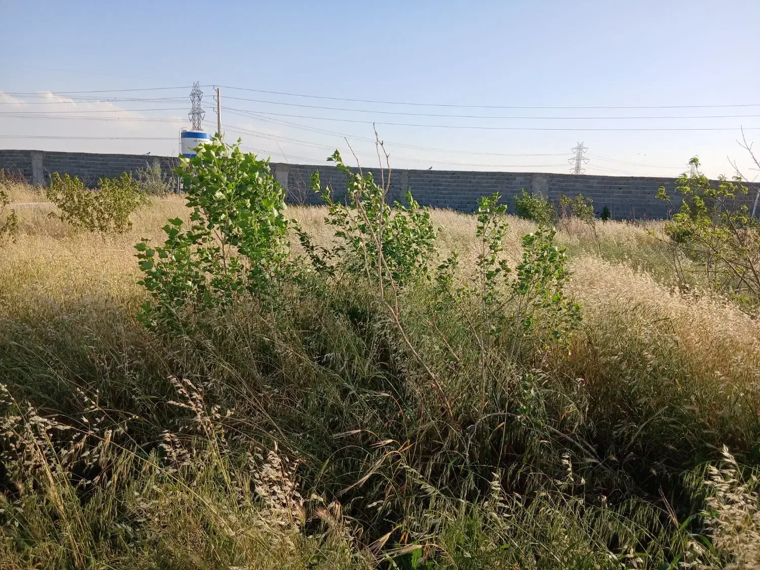 فروش باغچه باغی در ۴۵متری فرودگاه به متراژ ۳۲۰متر