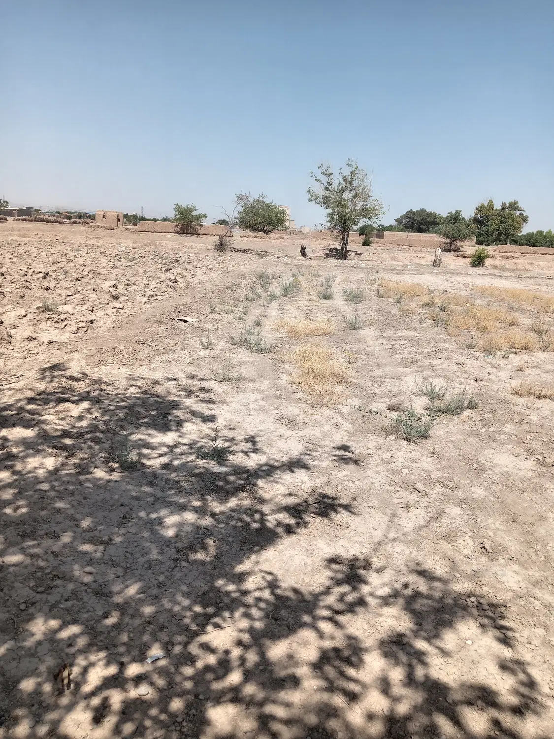 فروش زمین در بوستان زندگی