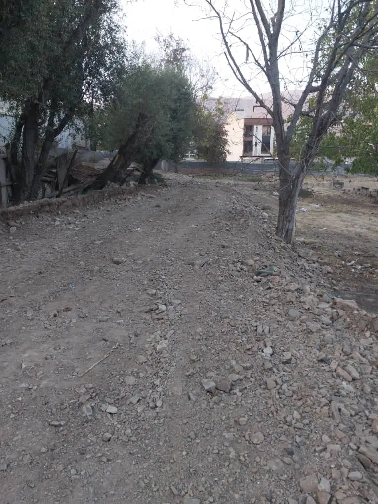 خیابان دانشگاه ۲۰۳ متر زمین