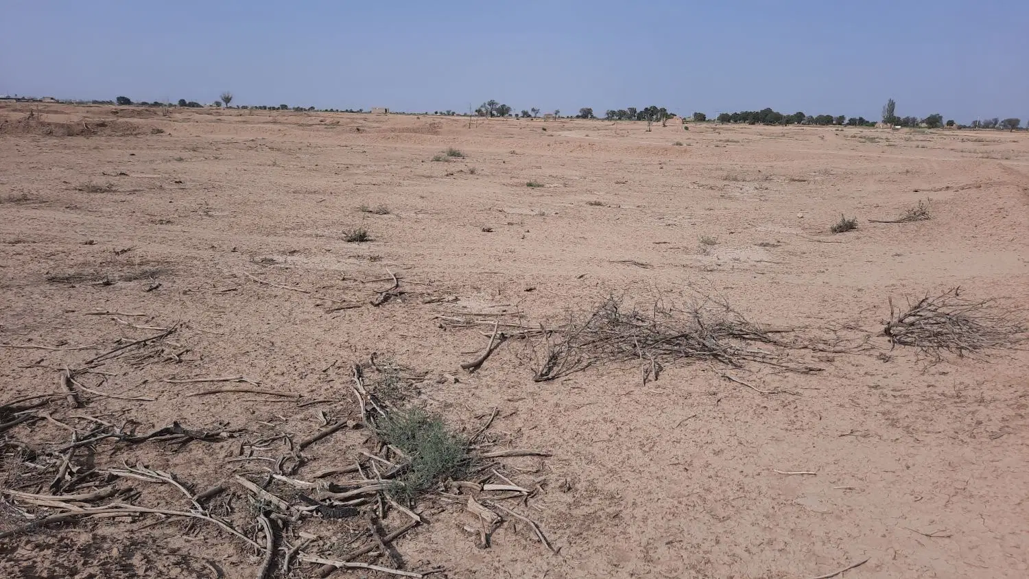 زمین باغی ۱۶۷۰ م درتاکستان قزوین