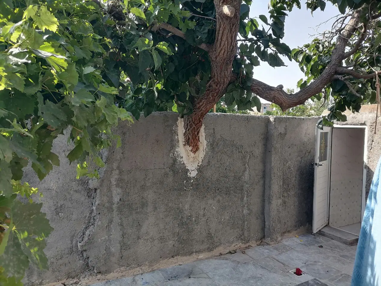 ویلایی گلبهار(معاوضه با ویلایی زاهدان)