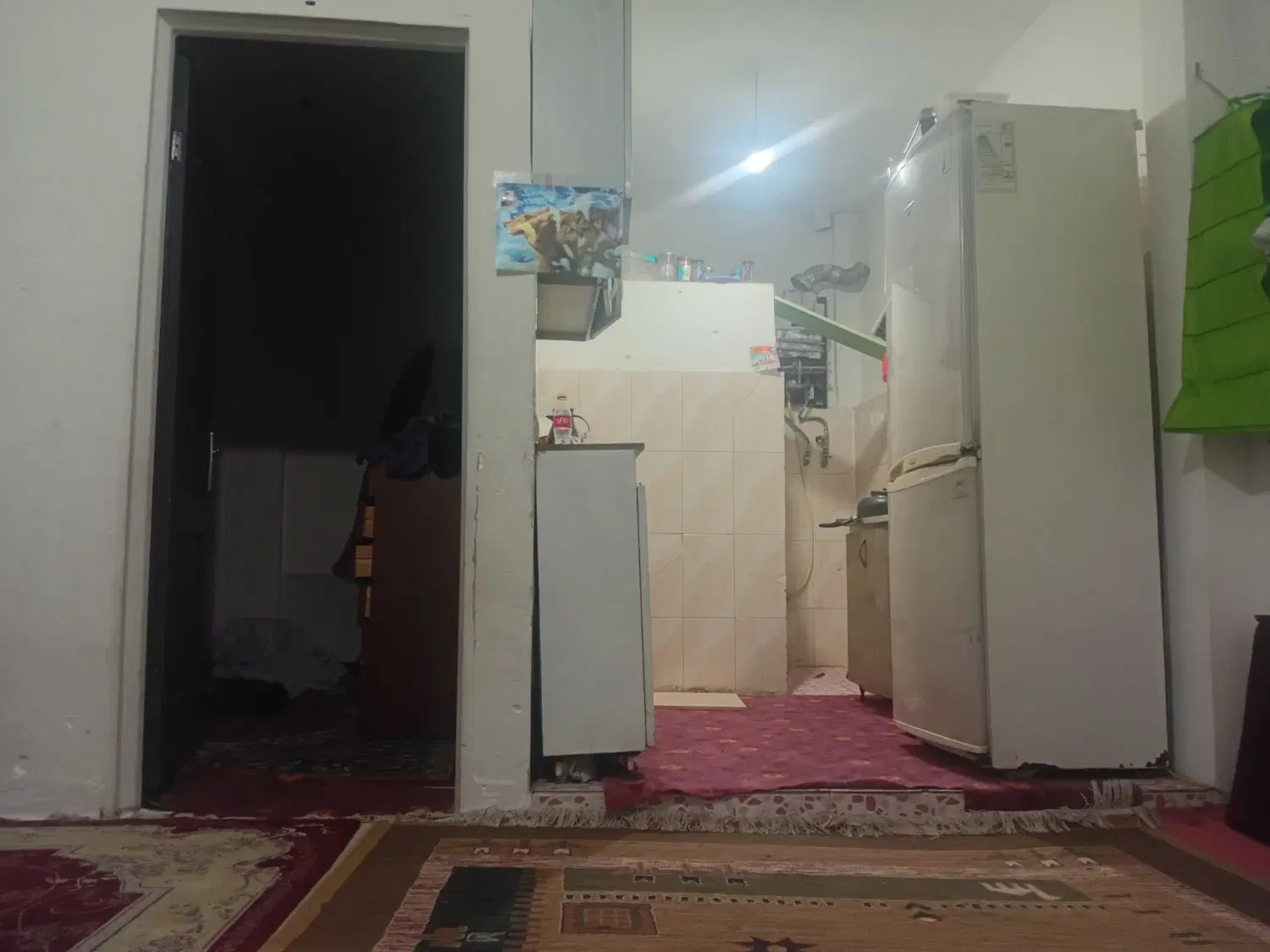 هم خونه خانم