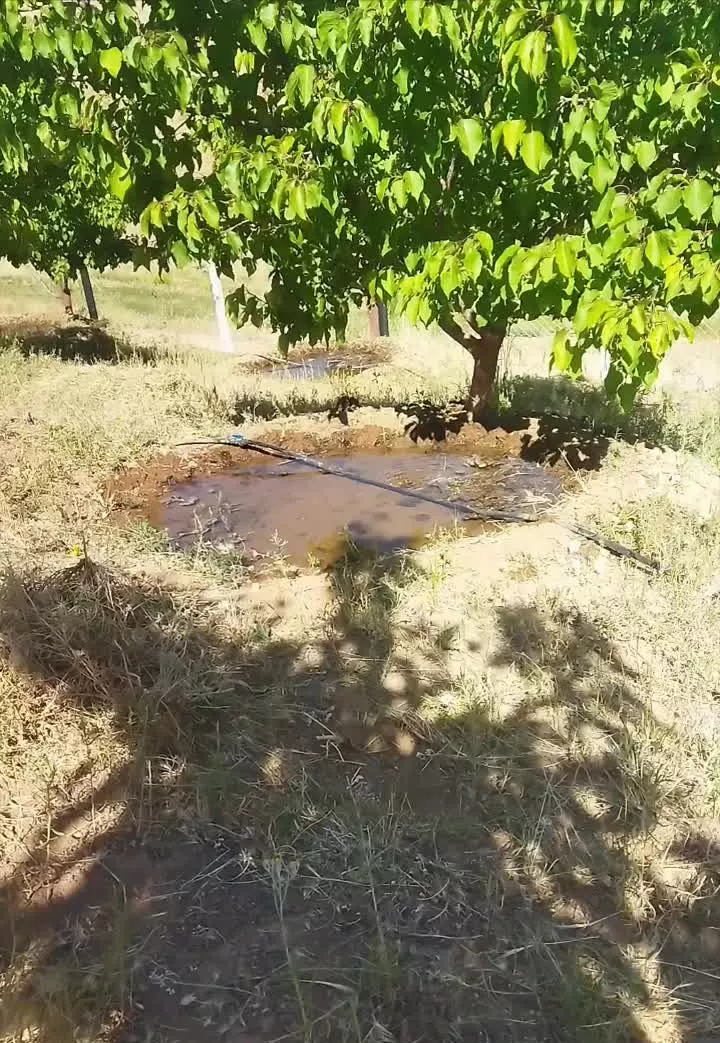 زمین کشاورزی قلیان
