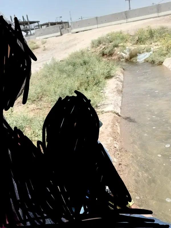 باغ در شاهین شهر