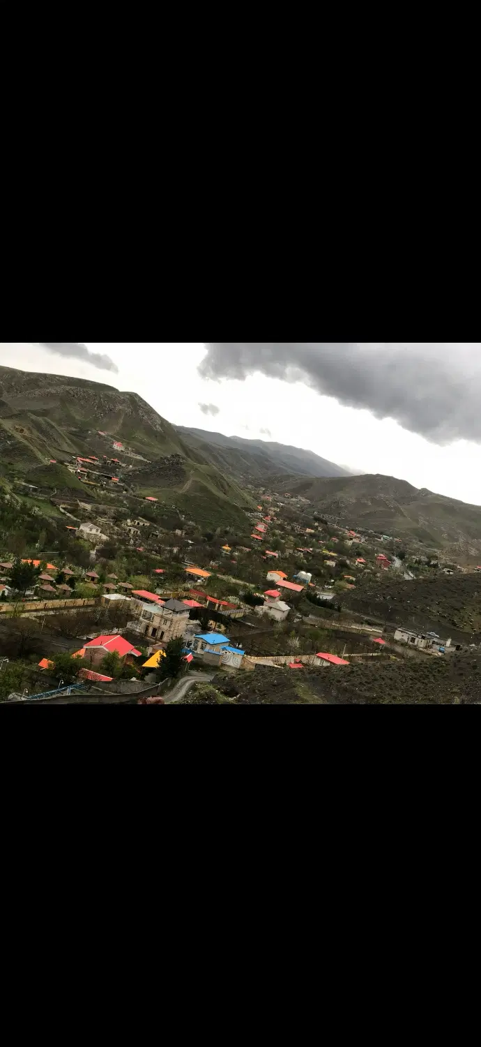 باغ با درختان میوه عارفی ۲۹