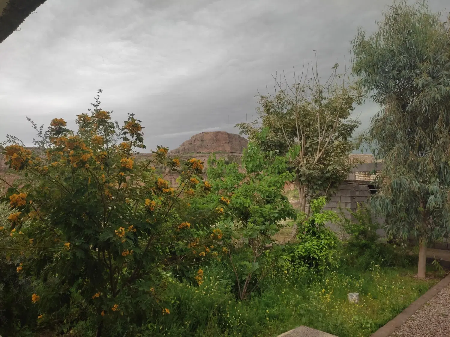 زمین سه نبش تجاری مسکونی