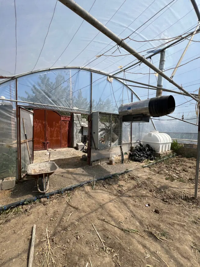 باغ گلخانه