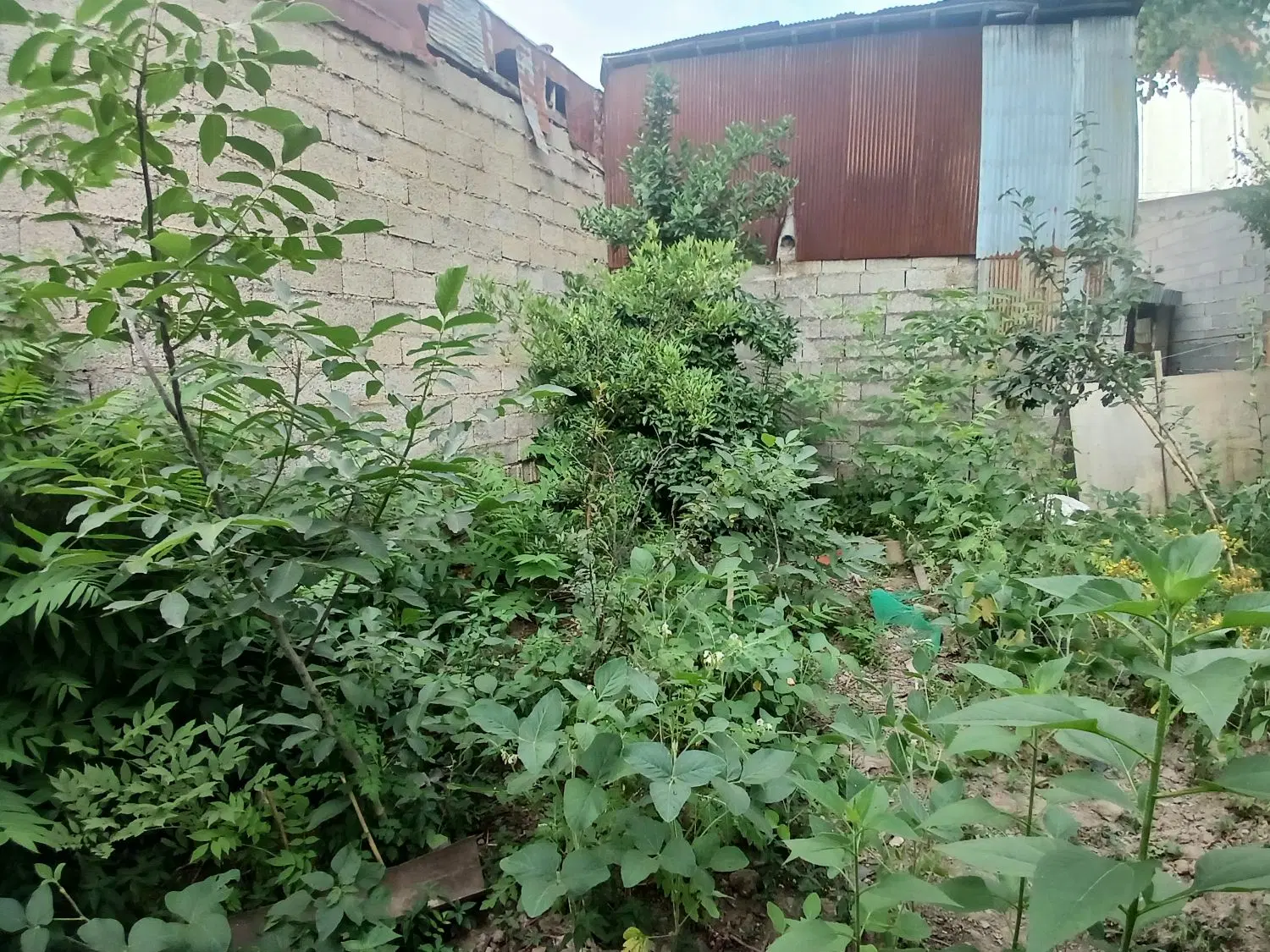 یک قطعه زمین مسکونی به مساحت 100 متر مربع