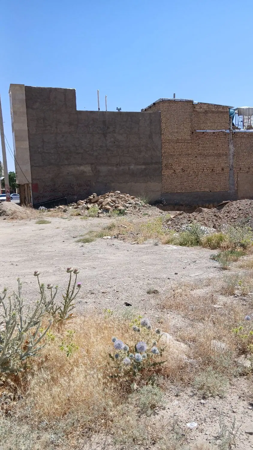 زمین