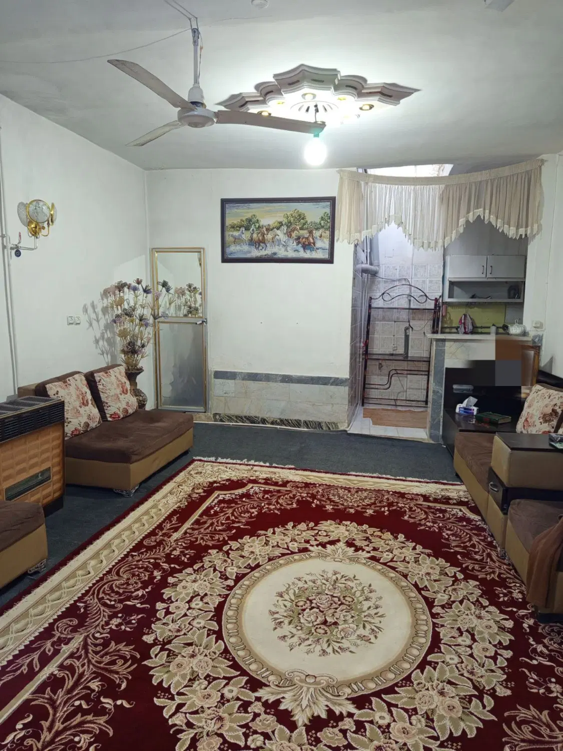فروش خانه  باغ ابریشم