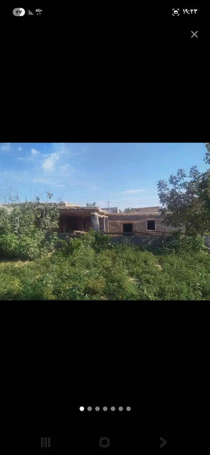 دامداری
