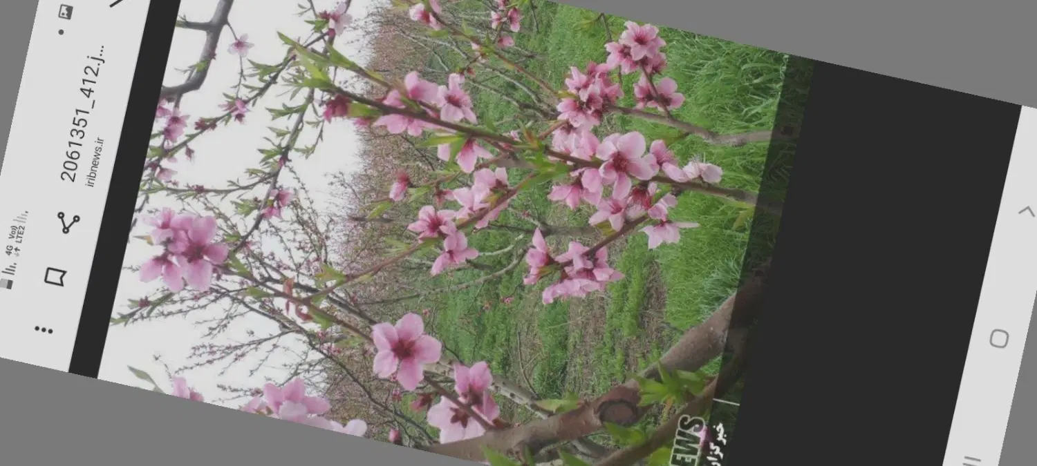 فروش باغ مشگین شهر روستای عربلو
