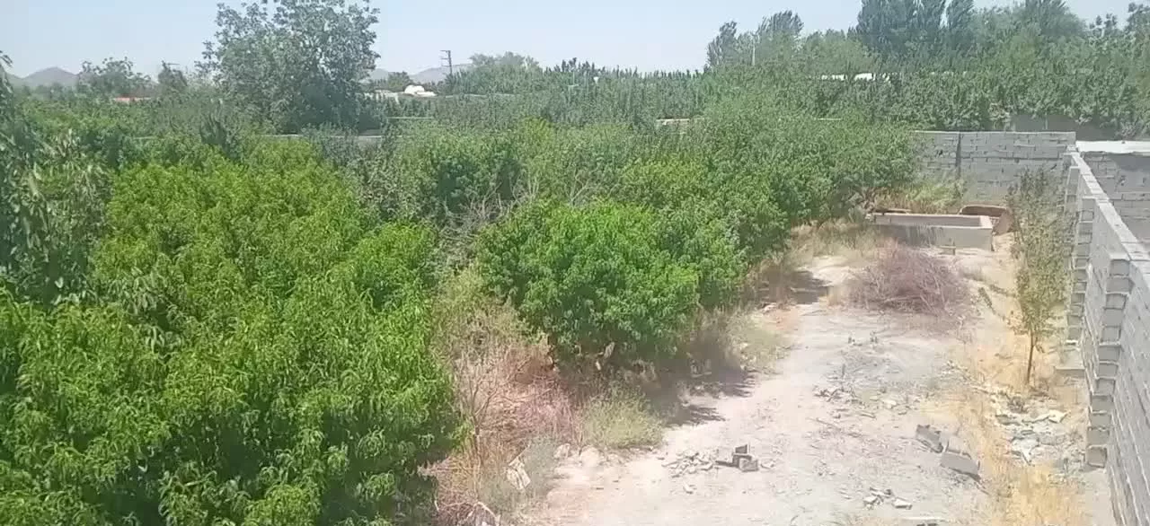 باغ نقلی چهاردیواری ، دو کله
