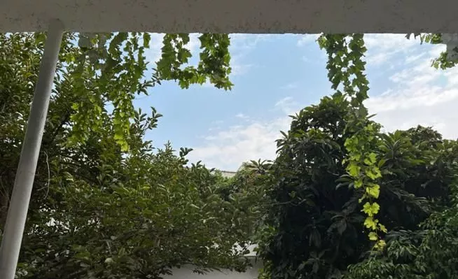 خوابگاه دخترانه قصرالدشت