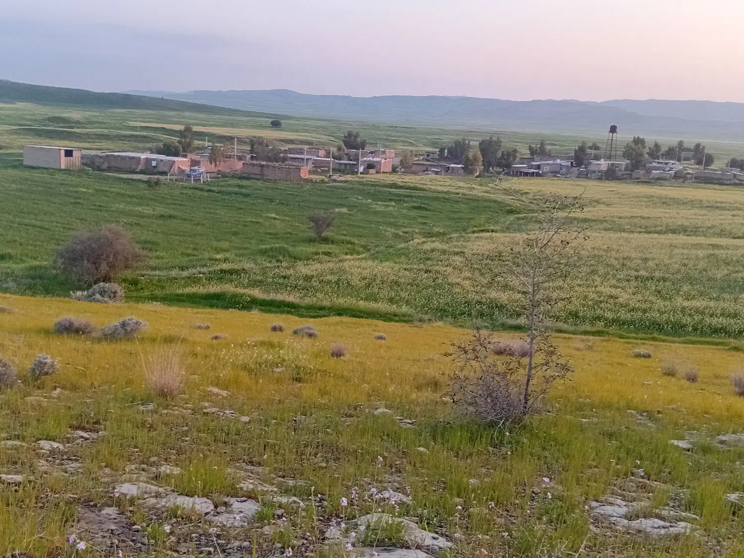 ۱۷۰ متر زمین نیمه تجاری در کرونی