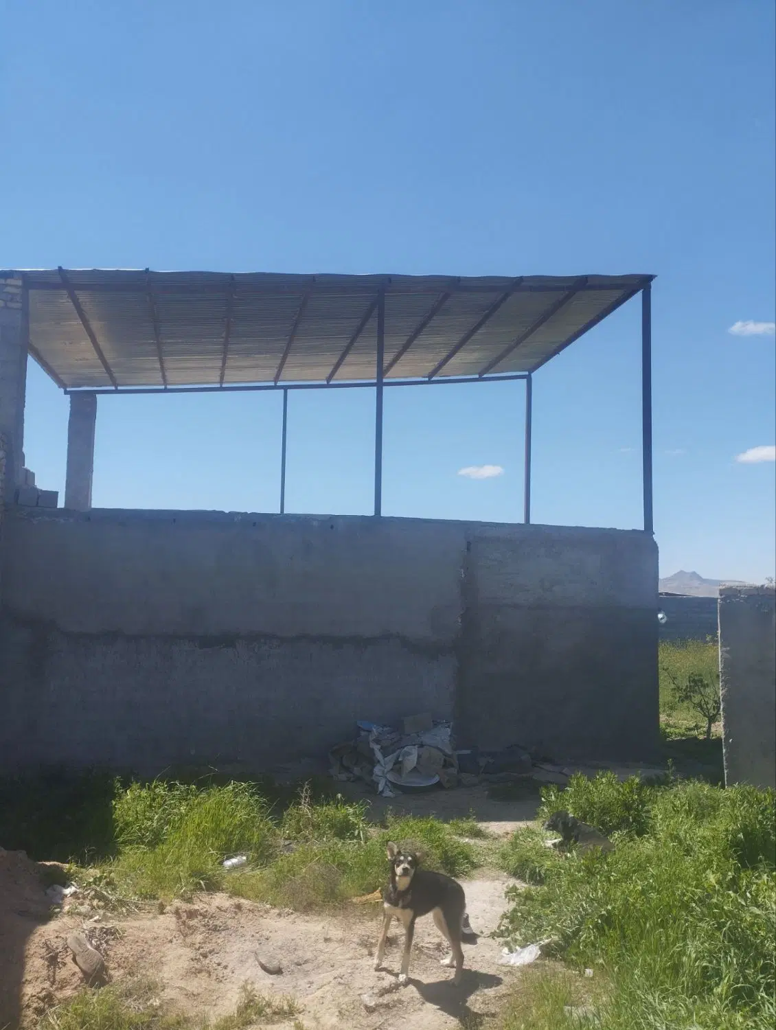 ملک مسکونی