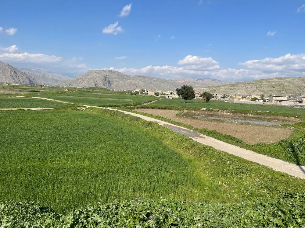 زمین قصر سبز صدرا