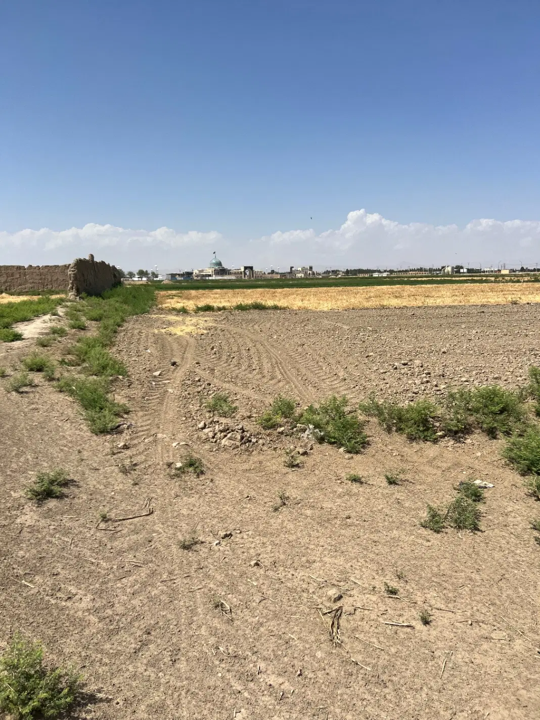 ۱۰۰۰متر زمین بر اتوبان فرودگاه امام زاده شاه کرم