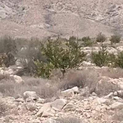 فروش زمین هماگ بالا