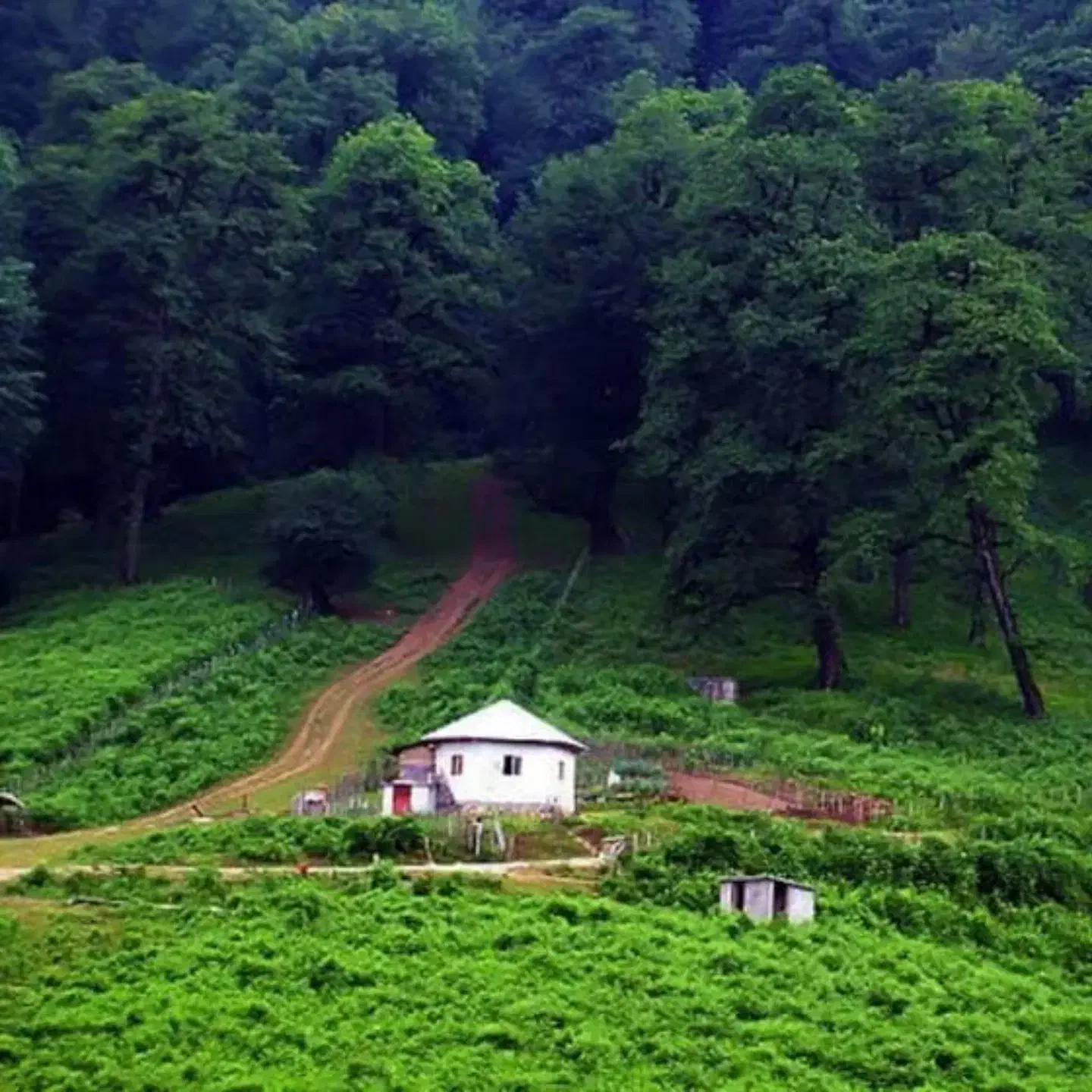 آقا هستم خونه ندارم همخونه میشم