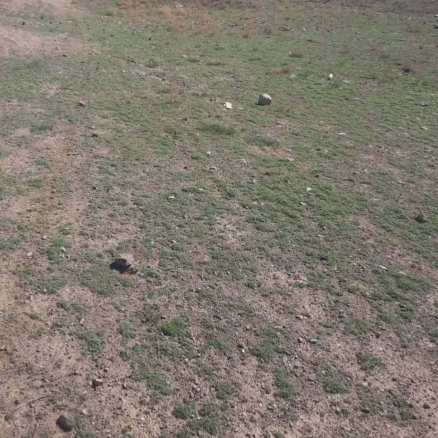 مشارکت در ساخت