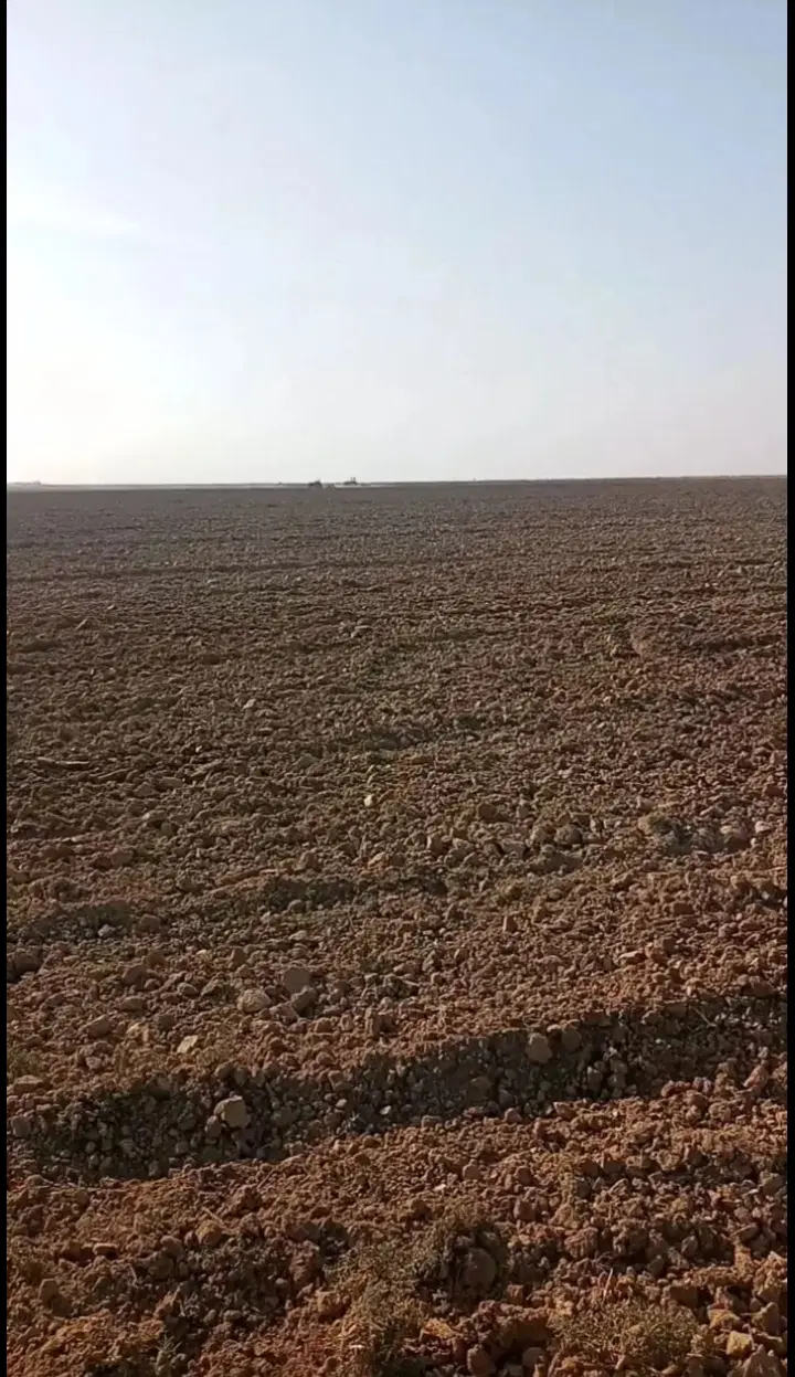 اجاره زمین کشاورزی ۱۲ هکتاری