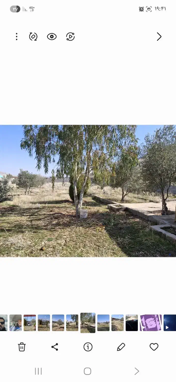 باغ در خالد اباد پروژه یاس کوچه یاس ۶