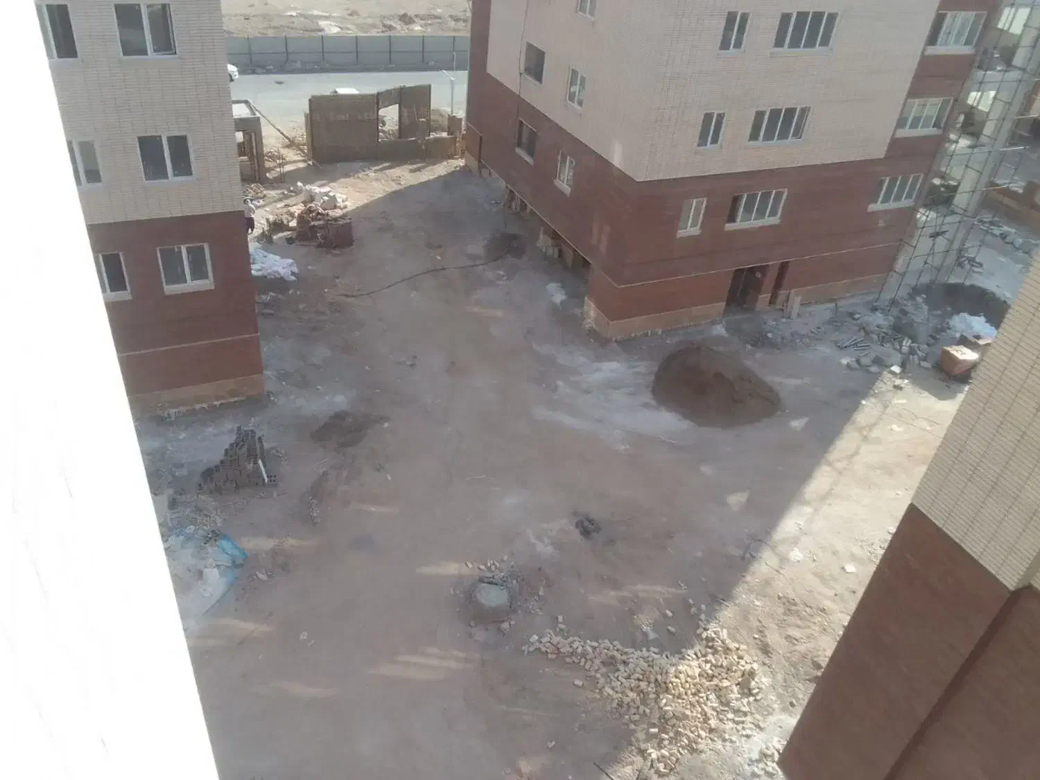 زیتون تک خواب