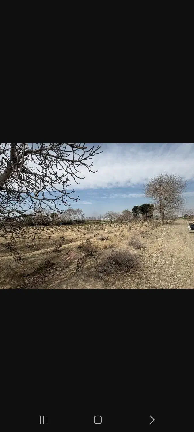 زمین کشاورزی عرفان ۳۵۰۰ متر