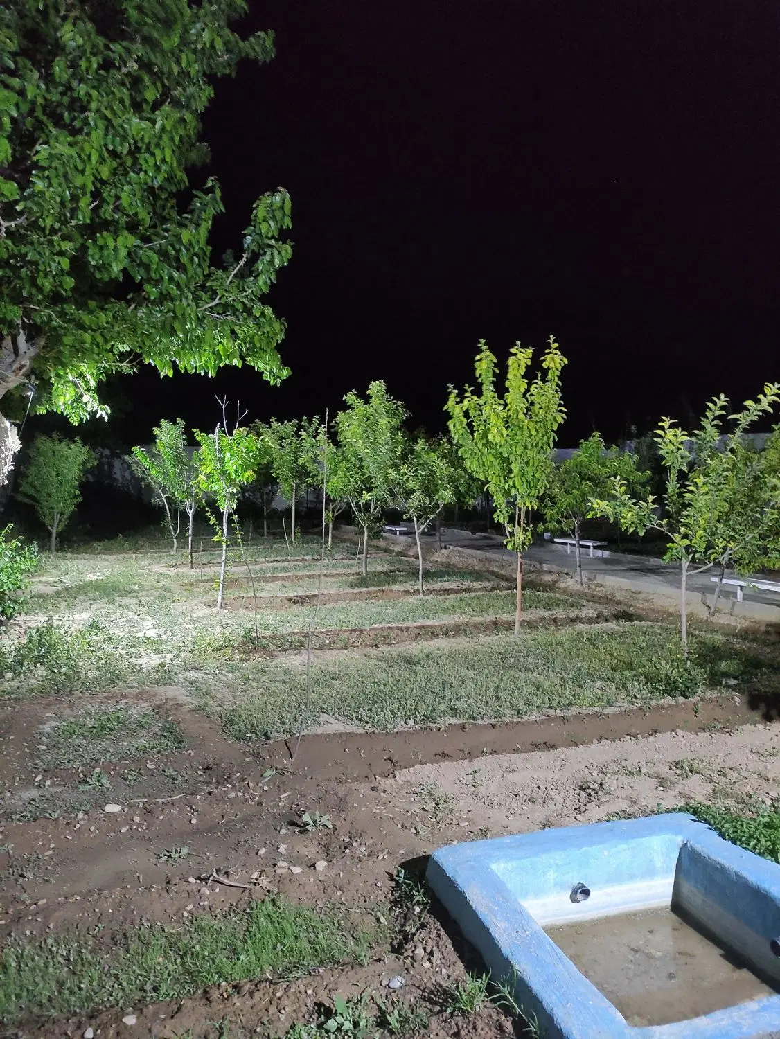 باغ شیک فول