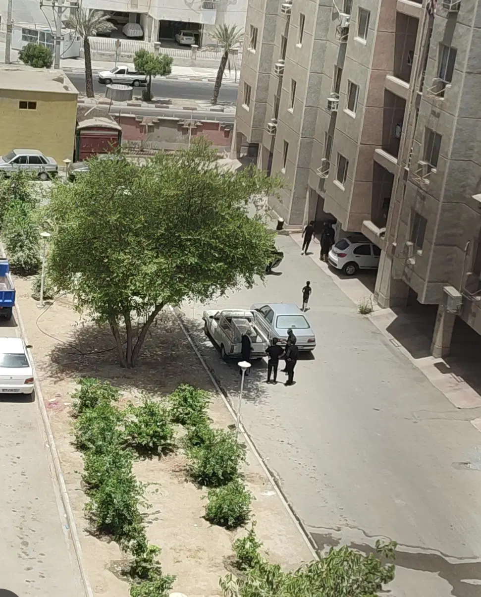 پیامبر اعظم درخت سبز فاز ۲ سند دار