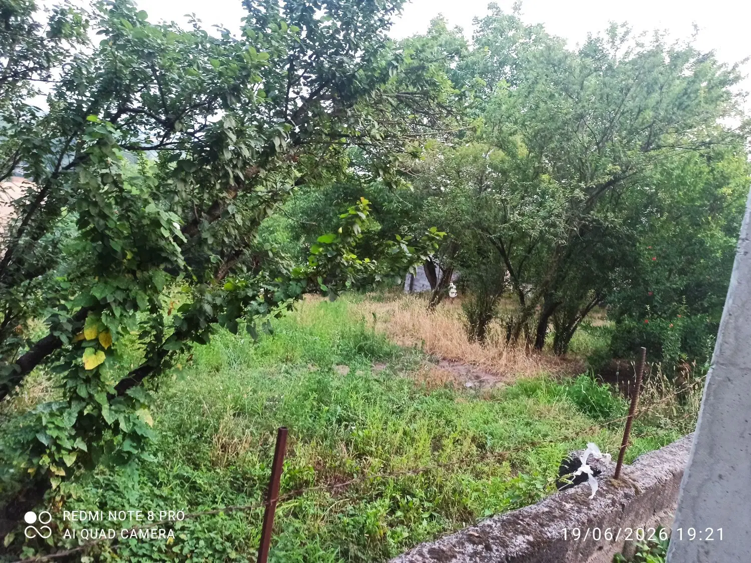زمین مسکونی و باغی