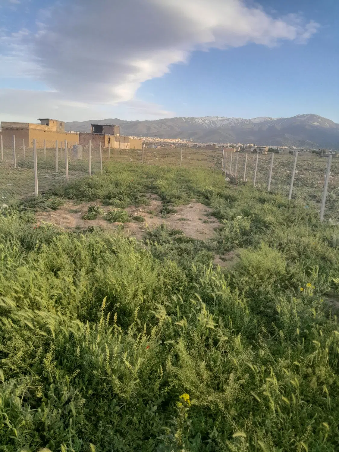 زمین باغی ۴۰۰ متر دیزج
