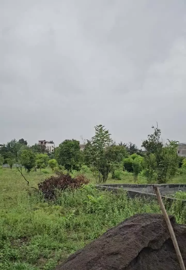 زمین سنددار نزدیک کمربندی تهران