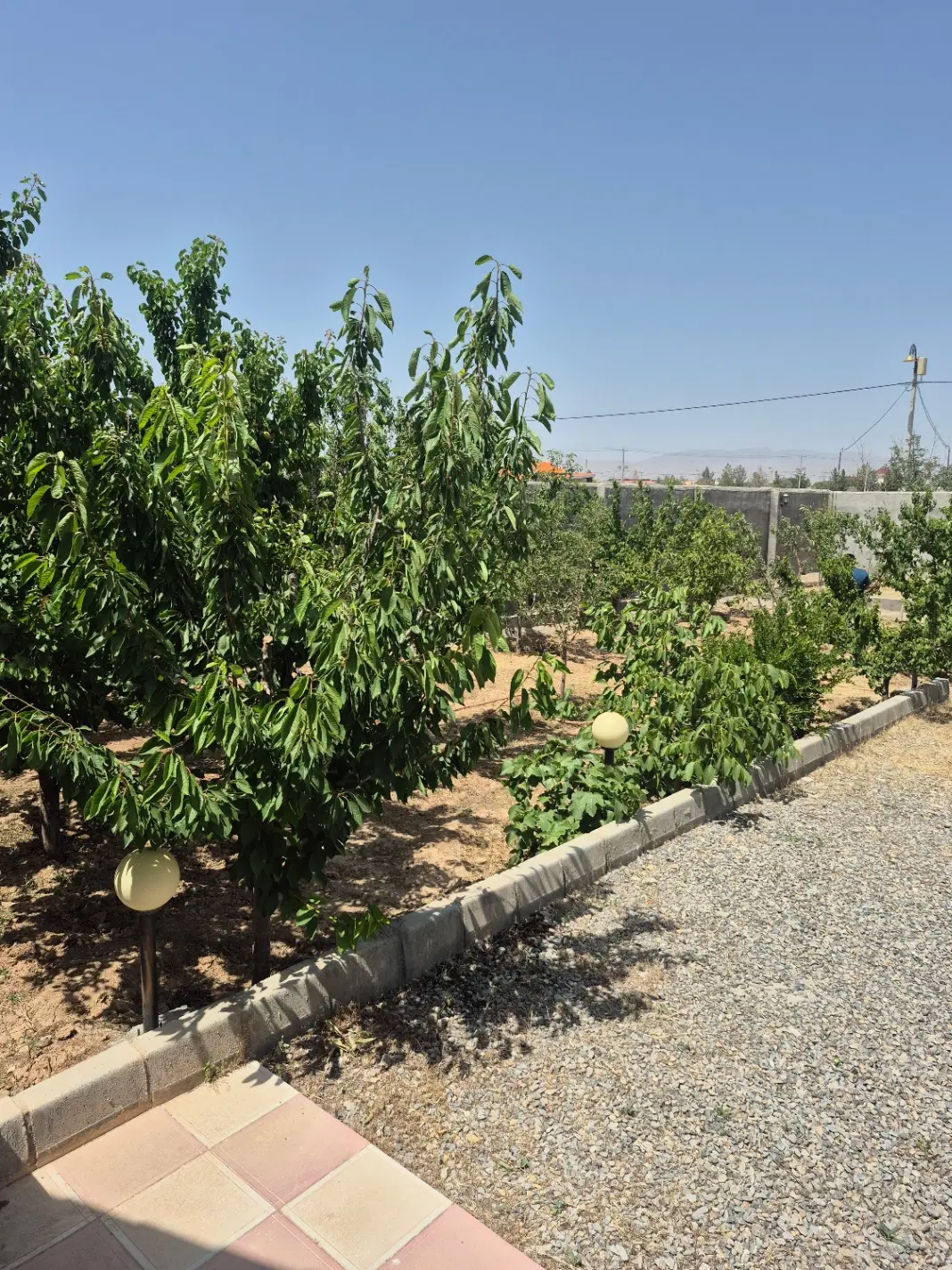 باغ ویلا مهندسی ساز