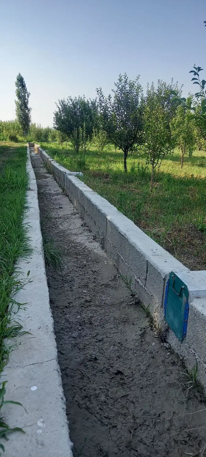 باغچه سیب قرمز و سیب سفید