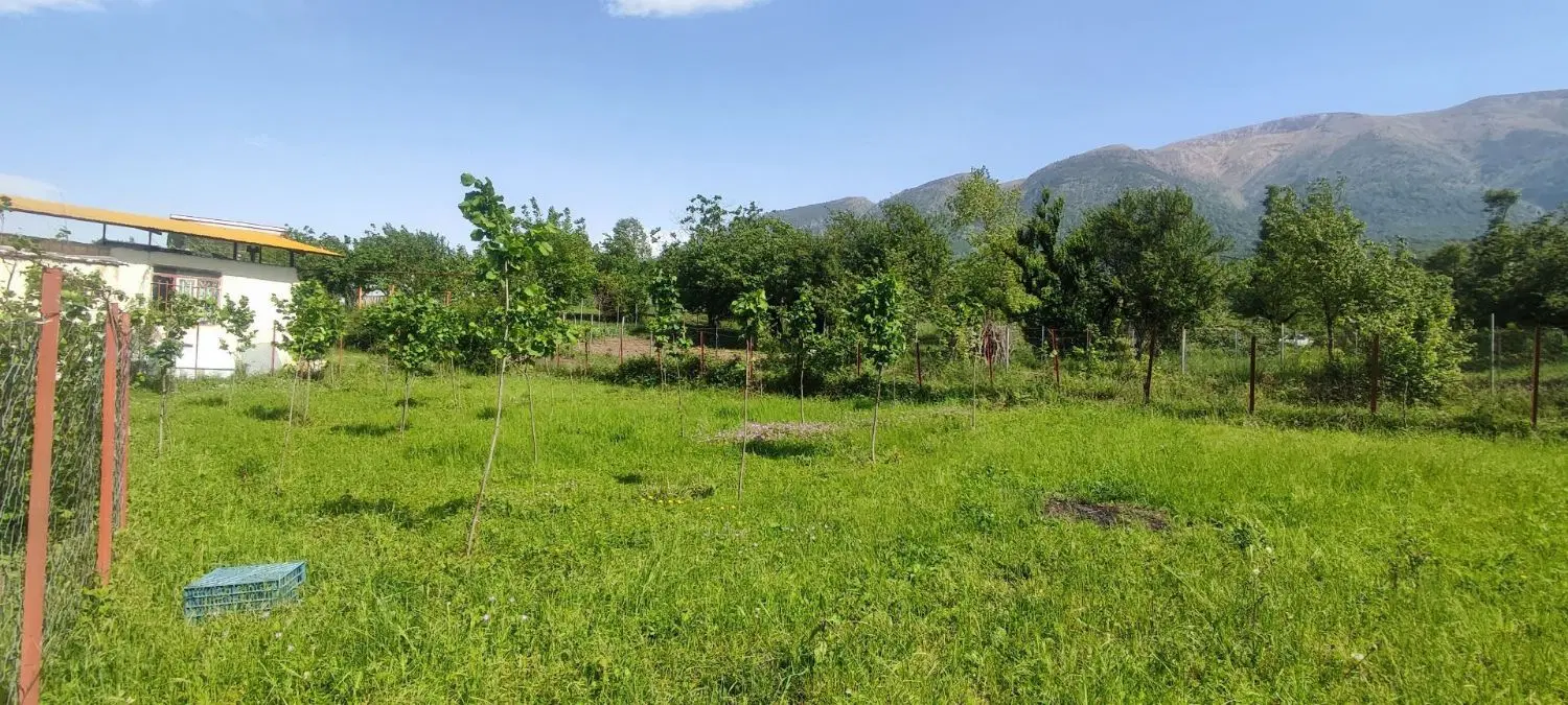 زمین ۴۵۲ متر در روستای سی دشت رودبار