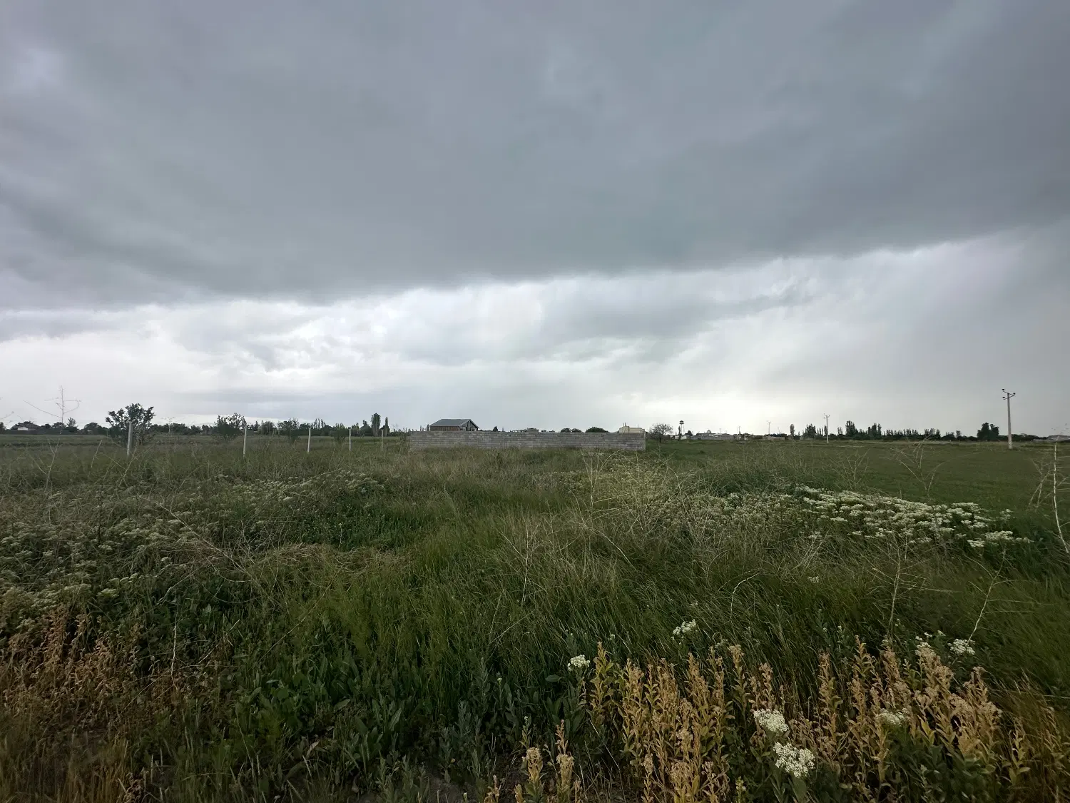 باغ زمین کشاوری
