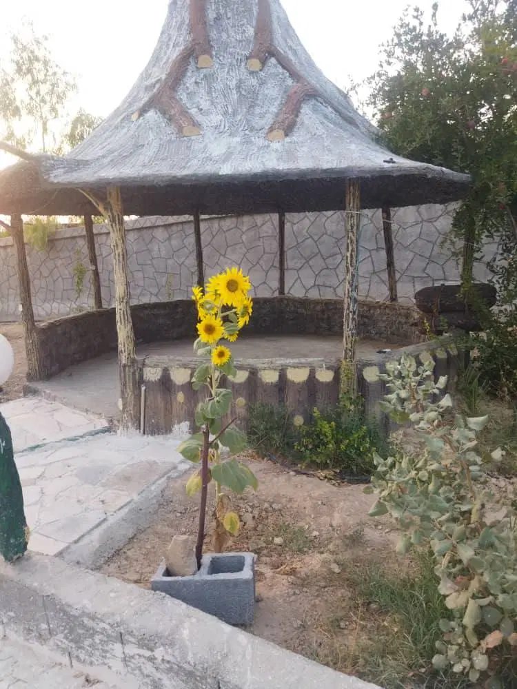 باغ 1000 متری