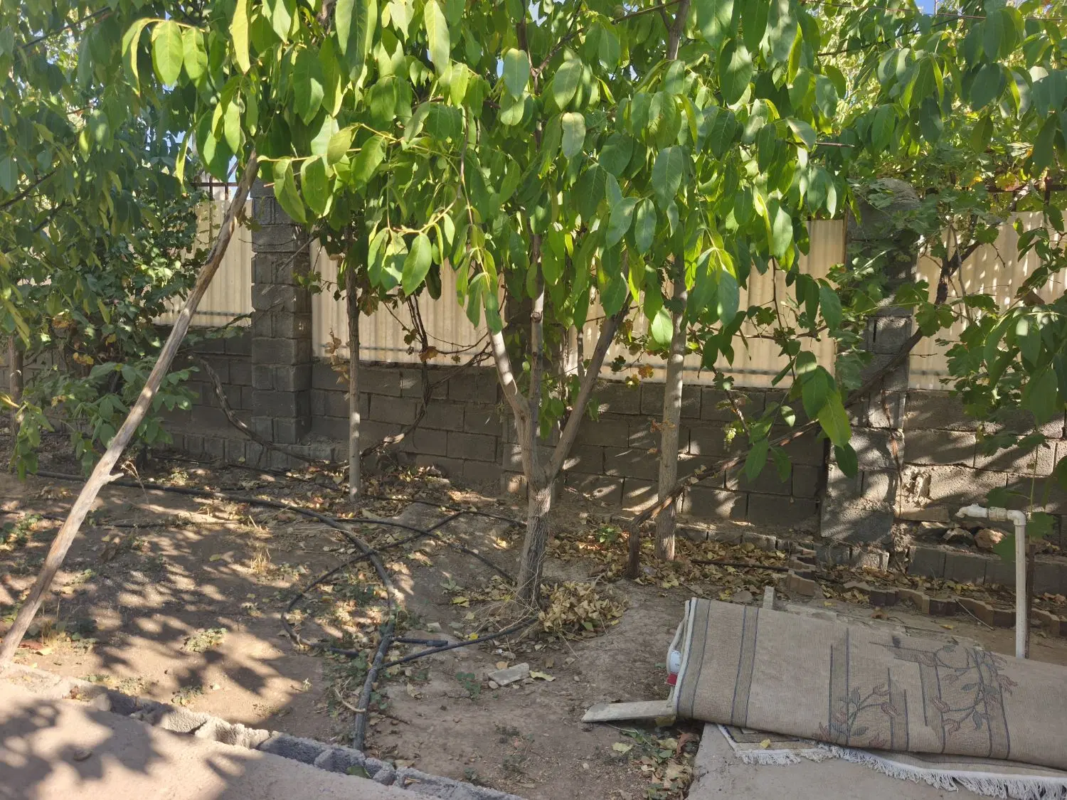 باغ