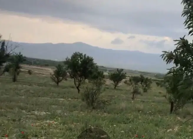 فرصت طلایی سرمایه گذاری در قوچان.سرمایهگذاری مطمعن