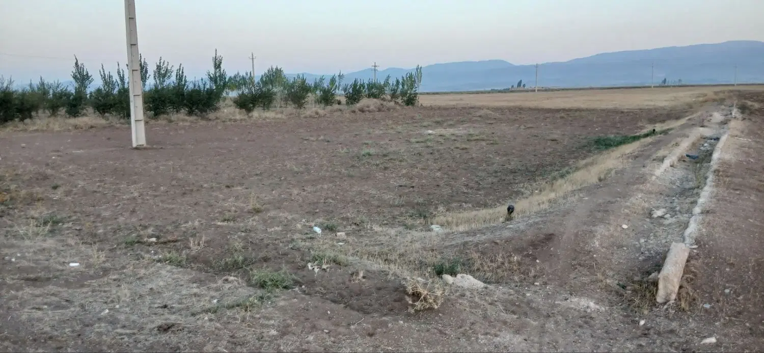 زمین باغی زراعی در روستای تپراقلو
