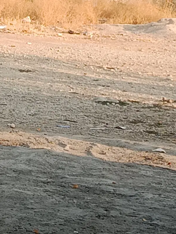 زمین مسکونی