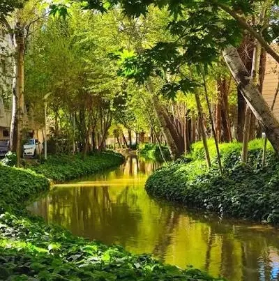 فروش آپارتمان و منزل مسکونی تاپ لوکیشن