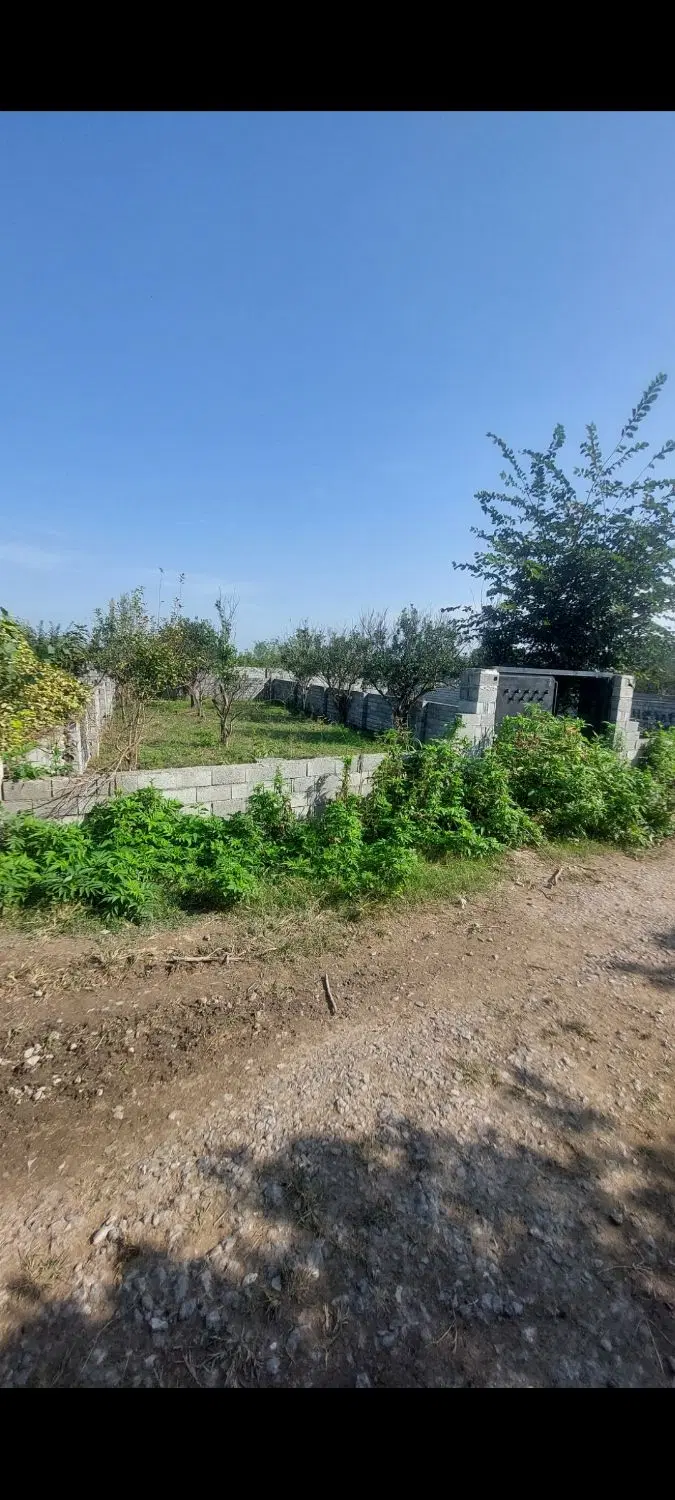 ۲۴۰ متر زمین آب وبرق مناسب کلبه روستای پرتقاضا