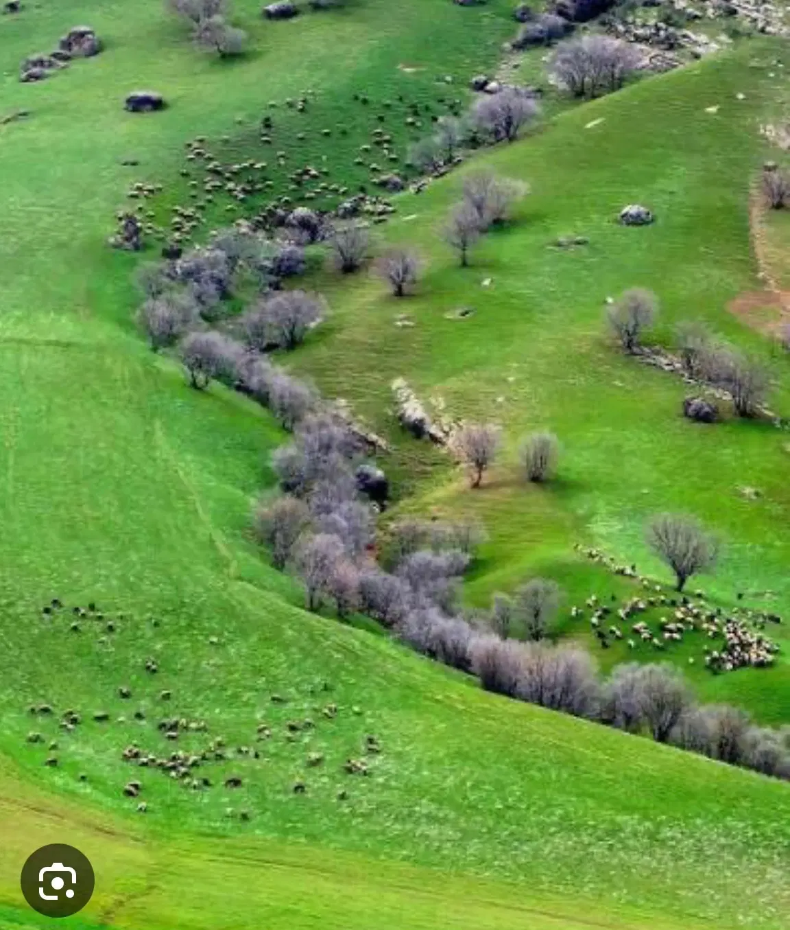 روستای حیرت،شیخک زمین،۲۵۰۰متر زمین