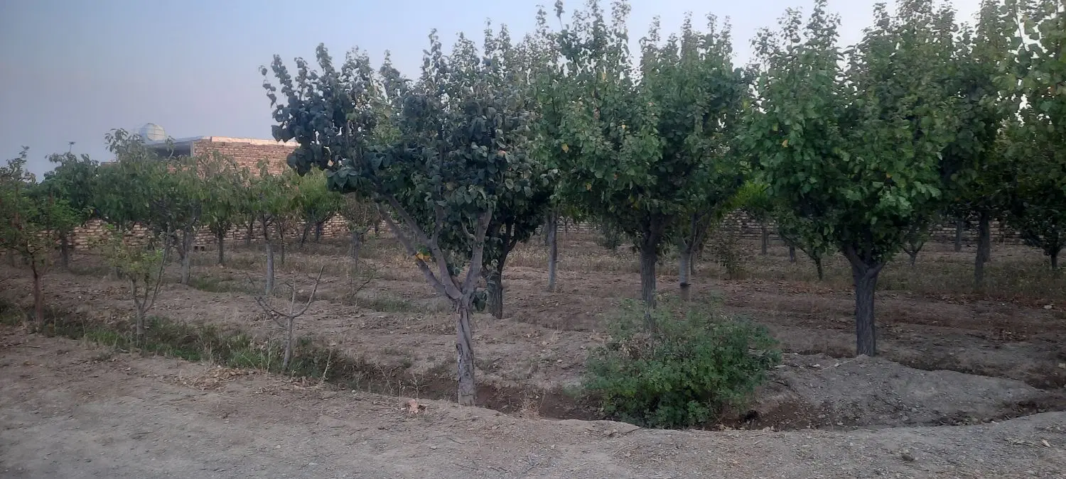 فروش باغ ۸۰۰ متری در گاوخانه